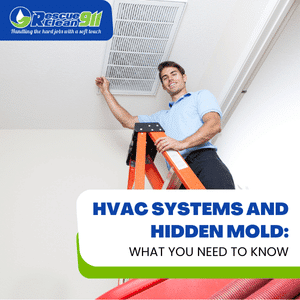 steps in cleaning mold