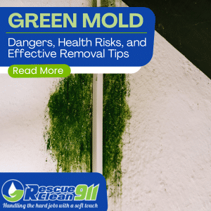 Green Mold