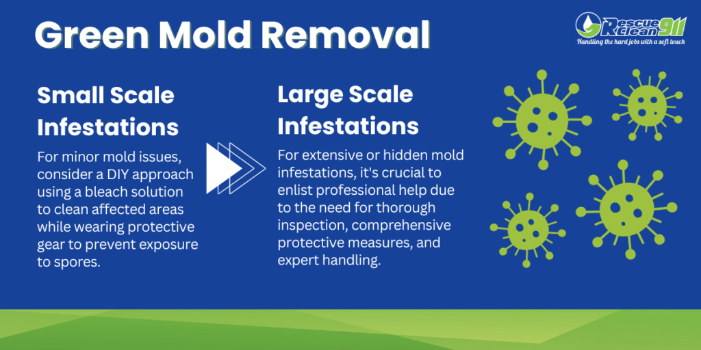 Outlines the processes for removing large and small infestations of green mold.