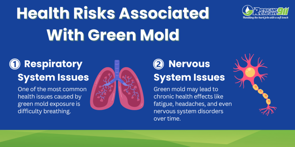 Risk factors associated with green mold extend to nervous system issues and respiratory system issues.