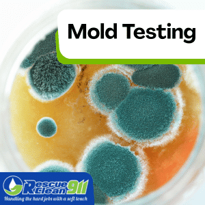 indoor environment where mold grows