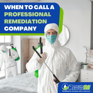 respiratory problems cause by molds