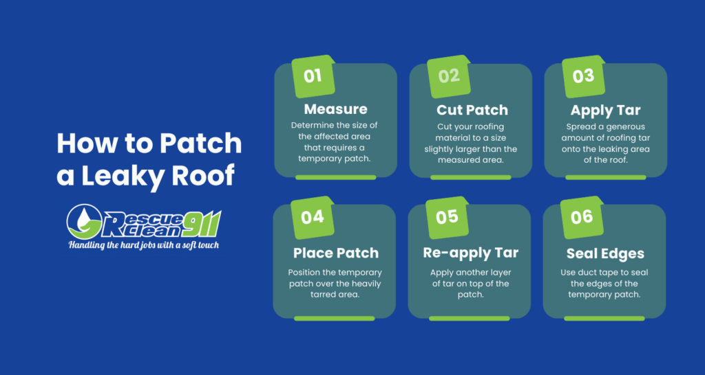 How to patch a leaky roof infographic.
