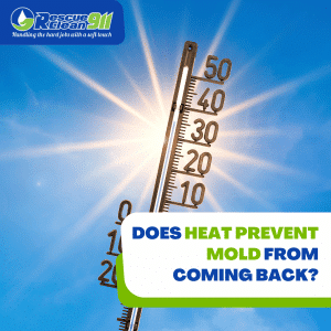 how to prevent future growth