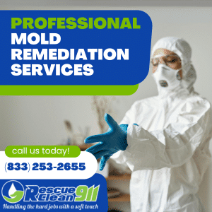 how to spot mold