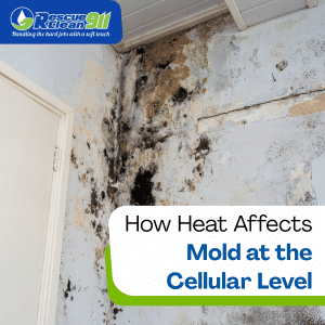 hydrogen peroxide and mold related