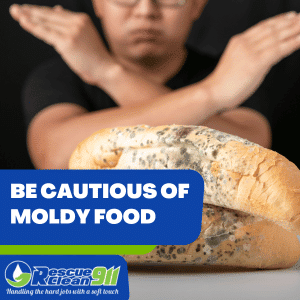 mold growing produces mycotoxins