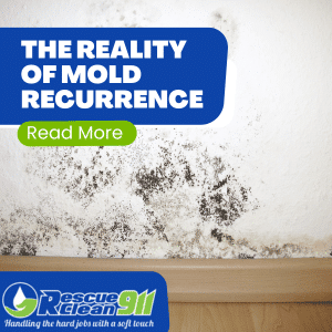 particular concern about mold