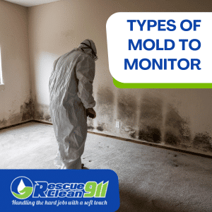 causes orange mold