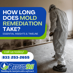 how long does mold remediation take