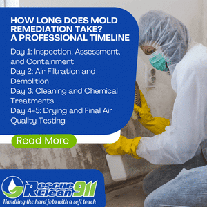 how much is mold remedidation