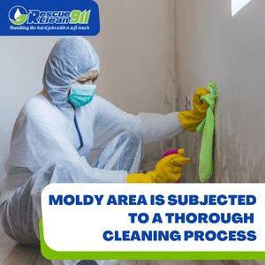 how to deal with extensive mold problems