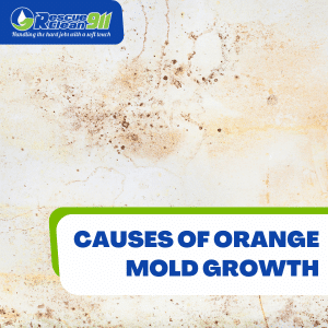 how to discover orange mold