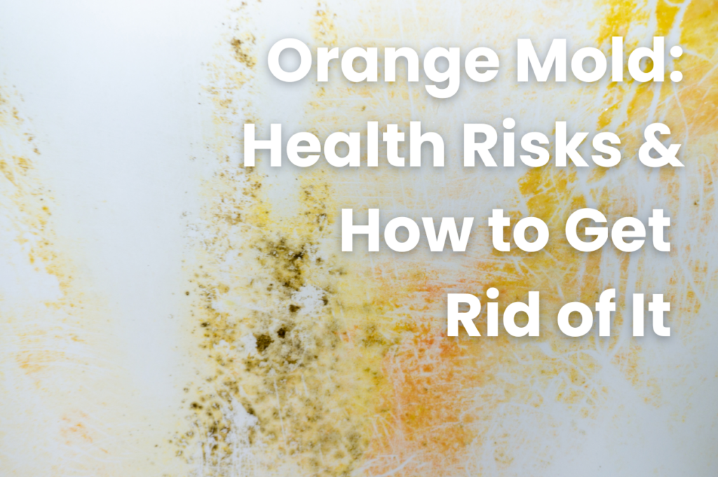 Orange Mold: Health Risks & How to Get Rid of It.