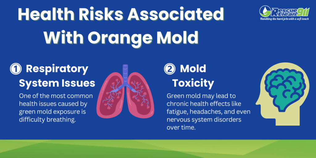 Infographic shows health risks associated with orange mold.
