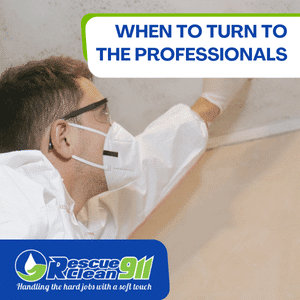 orange mold pose health risks