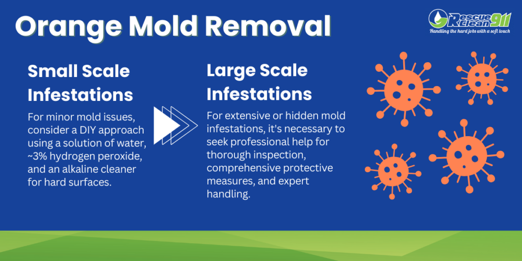 Infographic shows removal process for orange mold.