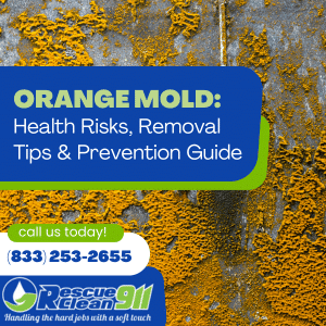 orange mold