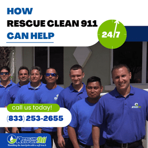 regular cleaning routine to prevent health issues