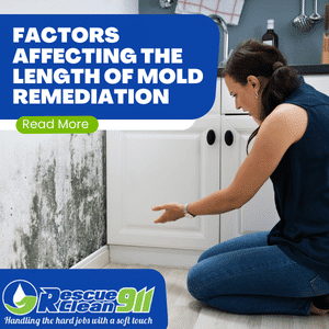 specialized equipment in mold remediation process