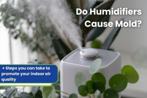 Do humidifiers cause mold blog hero image