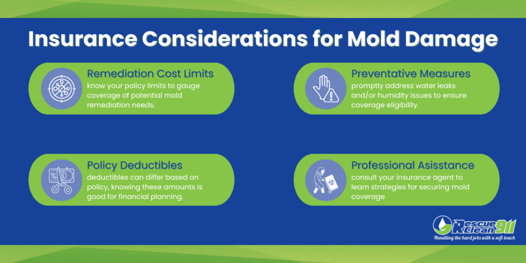 Insurance considerations for mold damage