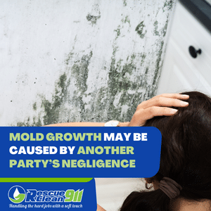 mold assessor for mold remediation