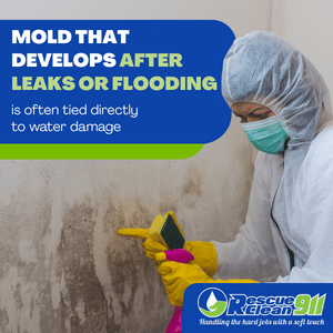 mold inspector for mold remediation