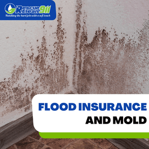 several factors affecting mold remediation