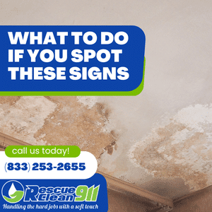 dark spots cause by water damage