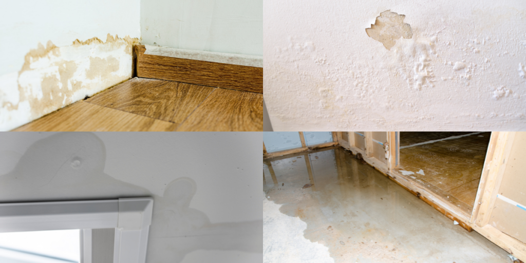 4 examples of water damage