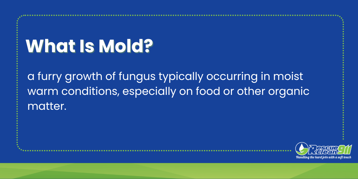 definition of mold 