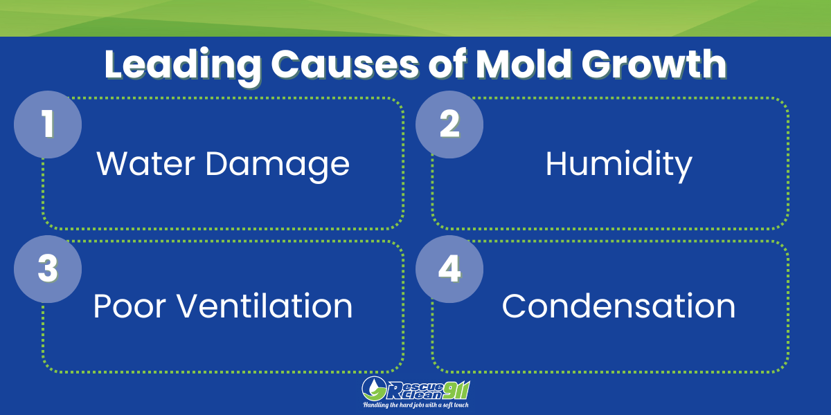 leading causes of mold growth