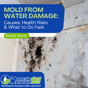 mold from water damage