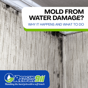 water damage leads to mold