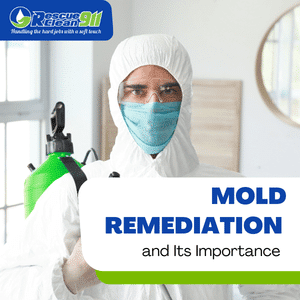 mold problem how to deal