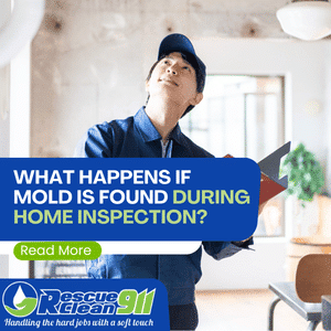 what happens if mold is found during home inspection