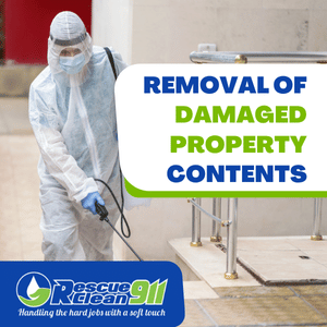 Cleaning and Sanitization in Crime Scenes