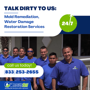 Talk Dirty To Us - Mold Remediation, Water Damage Restoration Services