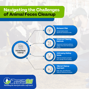 animal feces cleaning services in south florida