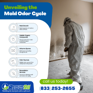odor eliminator company