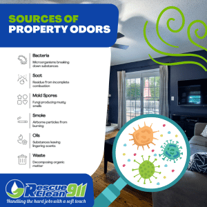 odor neutralization services in south florida