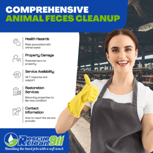 the best animal feces cleanup services