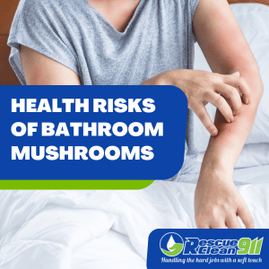 adequate ventilation to prevent mold growth