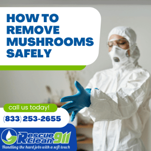 clean bathroom regularly
