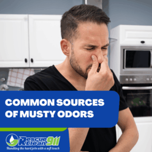 house smell musty causes