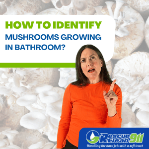 how to identify mushrooms growing in bathroom