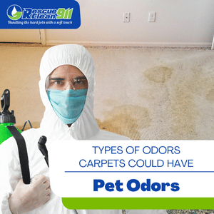 leave baking soda on the carpet overnight