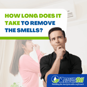 prevent house smell musty