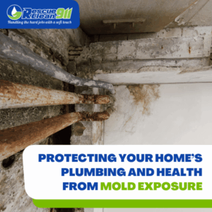 effects of mold on pipes